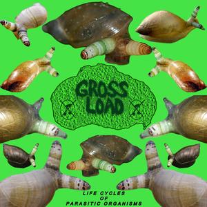 INDUSTRIAL PRESSURE COOKER DEMISE
