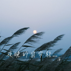 夜晚的窗帘轻轻打开