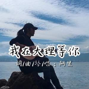 我在大理等你