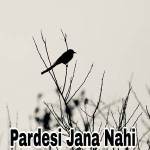 Pardesi Jana Nahi