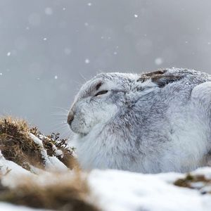 钢琴白噪音里的入眠之境