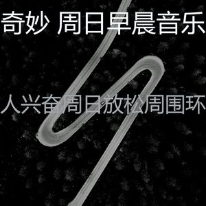 精彩周日的早午餐环境