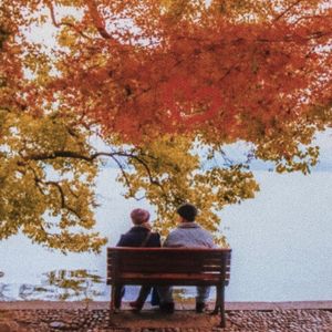 别怕 我在（cover：隔壁老樊）