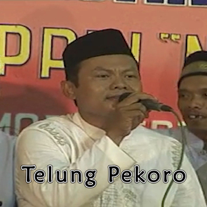 Telung Pekoro