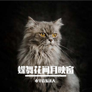 沉睡的风与夜之泪