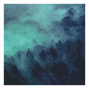 Distant Recollections