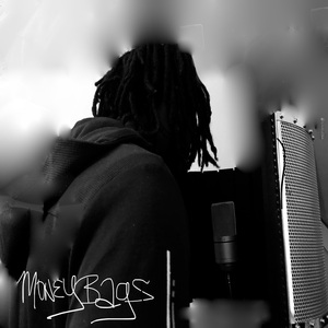 MoneyBags