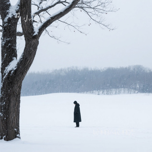 孤单的人孤单的冬（Cover 李发发）