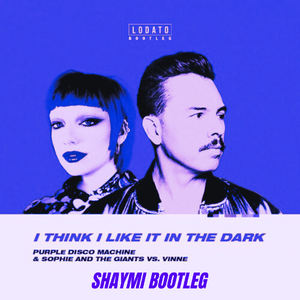 In The Dark (Shaymi Bootleg)