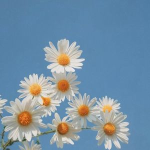 喝酒不谈情遇人不动心