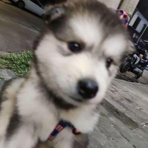 那就这样吧