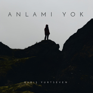 Anlamı Yok