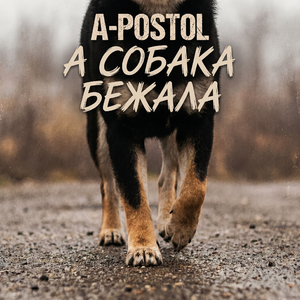 А СОБАКА БЕЖАЛА