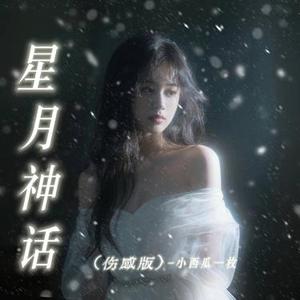星月神话