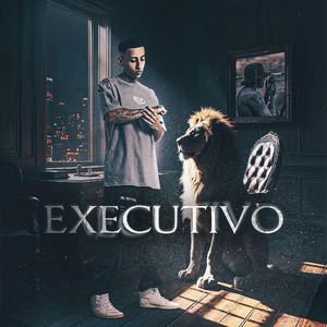 EXECUTIVO