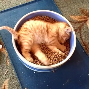 lucid dreams (sped up)