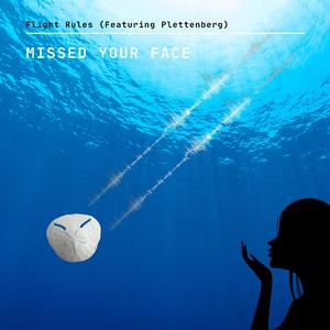 Missed Your Face (feat. Plettenberg)