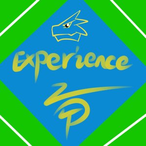 经验，experience轰龙重制版
