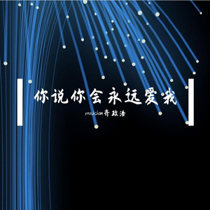 你说你会永远爱我