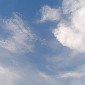 新龟兔赛跑 伴奏