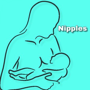 Nipples