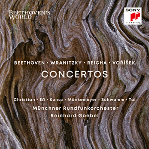 Concerto for Two Violas and Orchestra in C Major:I. Allegro