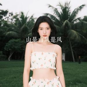 山是山风是风