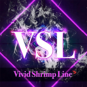 VSL