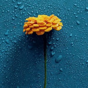 巴黎铁塔的悲伤