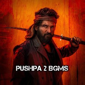 Bhanwar Singh Shekhawat entry