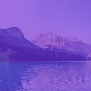 有趣周日的早午餐情怀