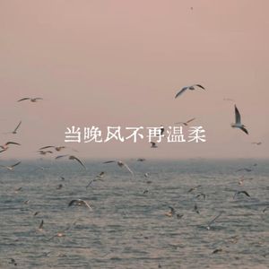 当晚风不再温柔
