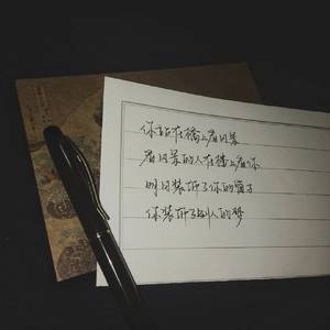 许我在人海中朝向你（翻自 洪卓立）