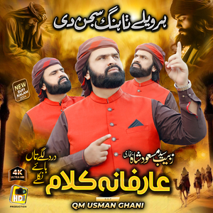 Har Wele Tahng Sajan Di - Arfana kalam - Dird Lagy Taan Haye Nikle - Syed Zabeeb Masood Shah Bukhari