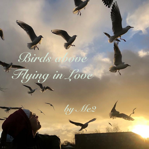 Birds above Flying in Love