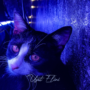 Uzat Elini (Original Mix)