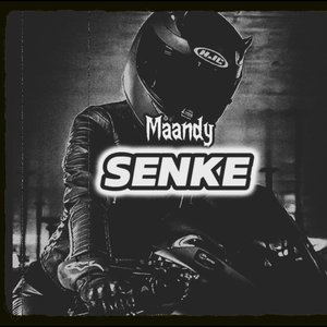 Senke