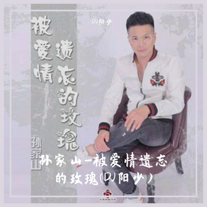孙家山-孙家山-被爱情遗忘的玫瑰(DJ阳少)（DJ阳少 remix）