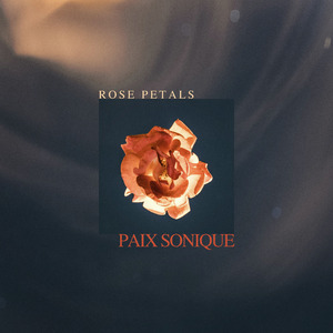 Rose Petals