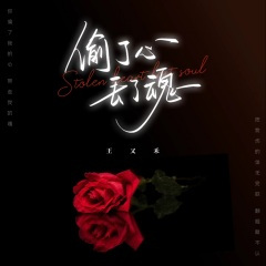 偷了心丢了魂 (DJ彭锐版)