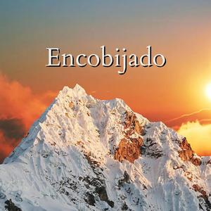 Paraíso encobijado