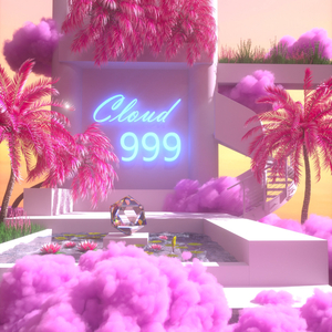 Cloud 999