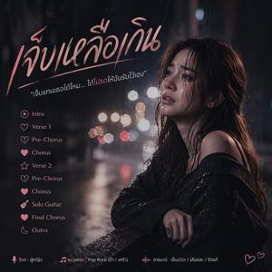 เจ็บเหลือเกิน(ขอเจ็บแทนเธอได้ไหม) (Official Audio)