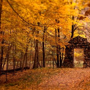 The racing cars zapped past us