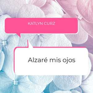 Alzaré Mis Ojos
