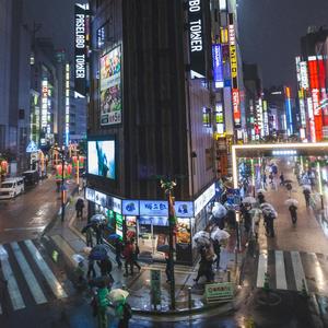 Last Train Through Neon Mist （ネオンミストの中の最終電車）