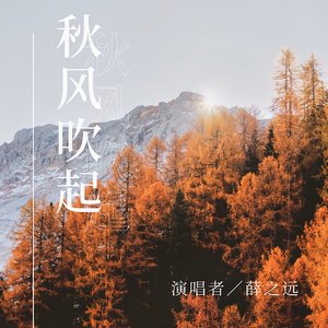 秋风吹起
