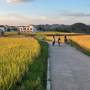 我长大要开飞机