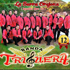 No Me Importa Quien Es