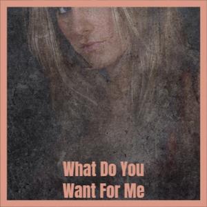 But You Wideboy Club